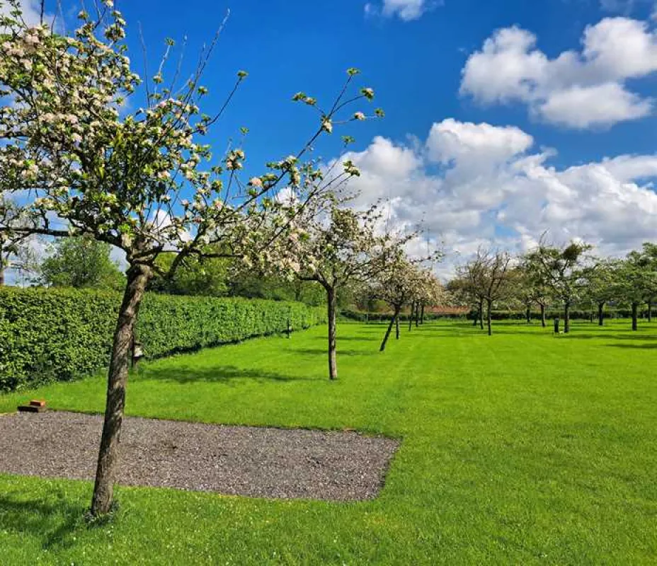 Orchard Farm Luxury Glamping and Campsite