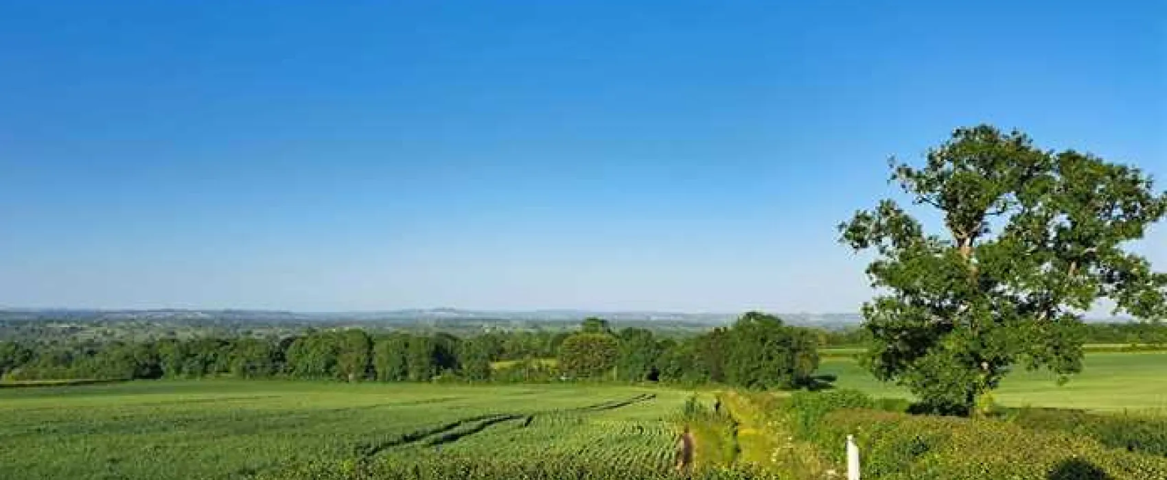 Orchard Farm Luxury Glamping and Campsite