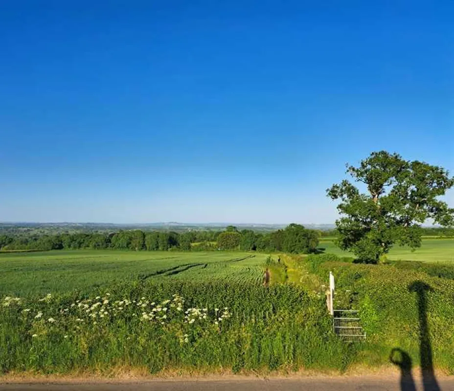 Orchard Farm Luxury Glamping and Campsite