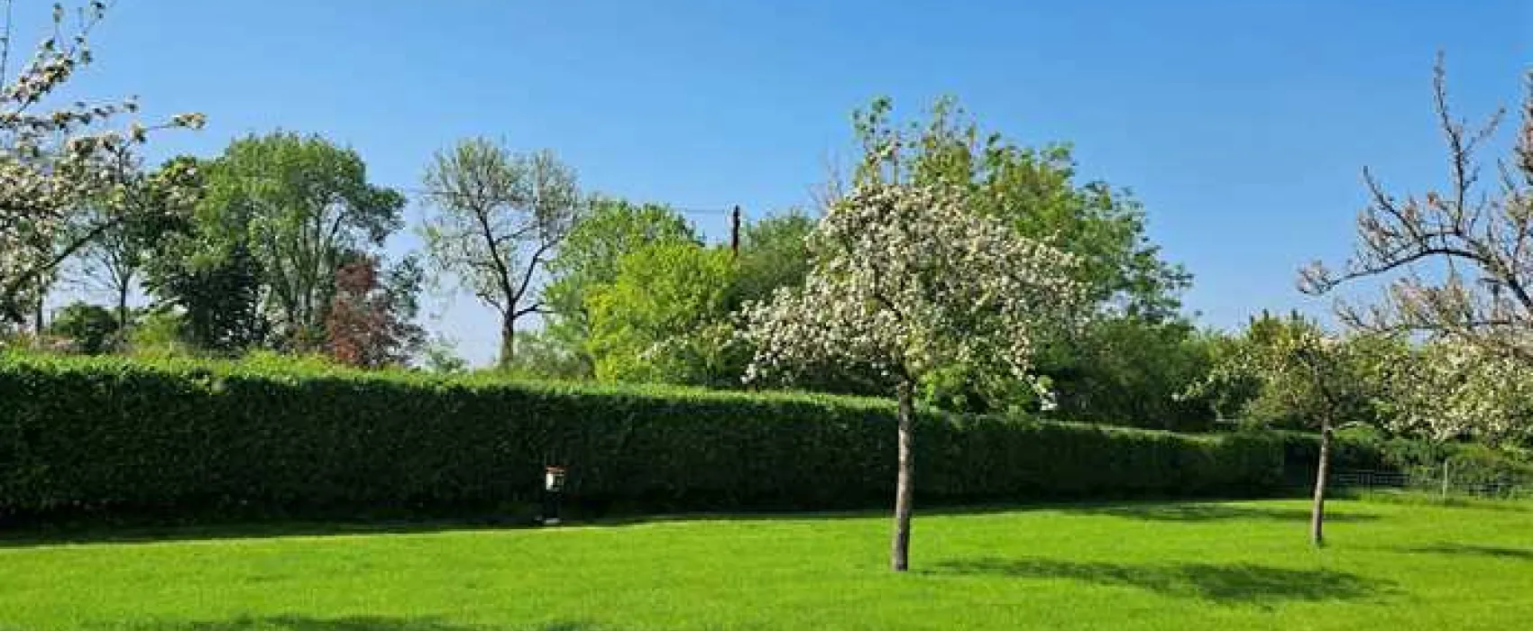 Orchard Farm Luxury Glamping and Campsite