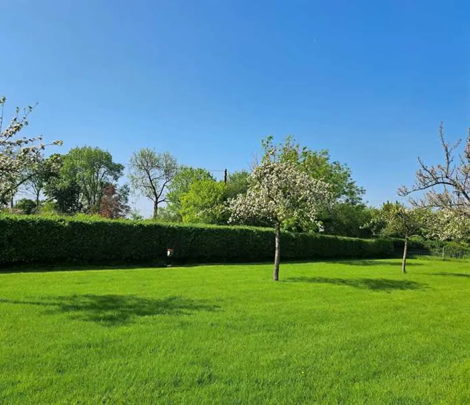 Orchard Farm Luxury Glamping and Campsite