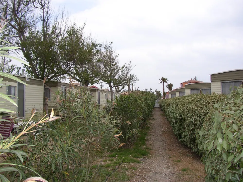 Centre Helio-Marin René Oltra