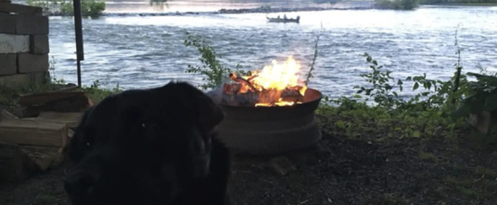 Ferryboat Campsites Inc