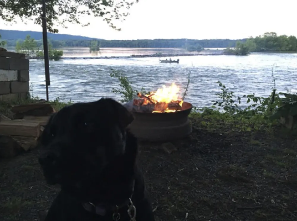 Ferryboat Campsites Inc