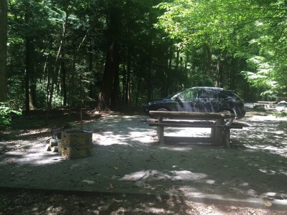 State Line Campground