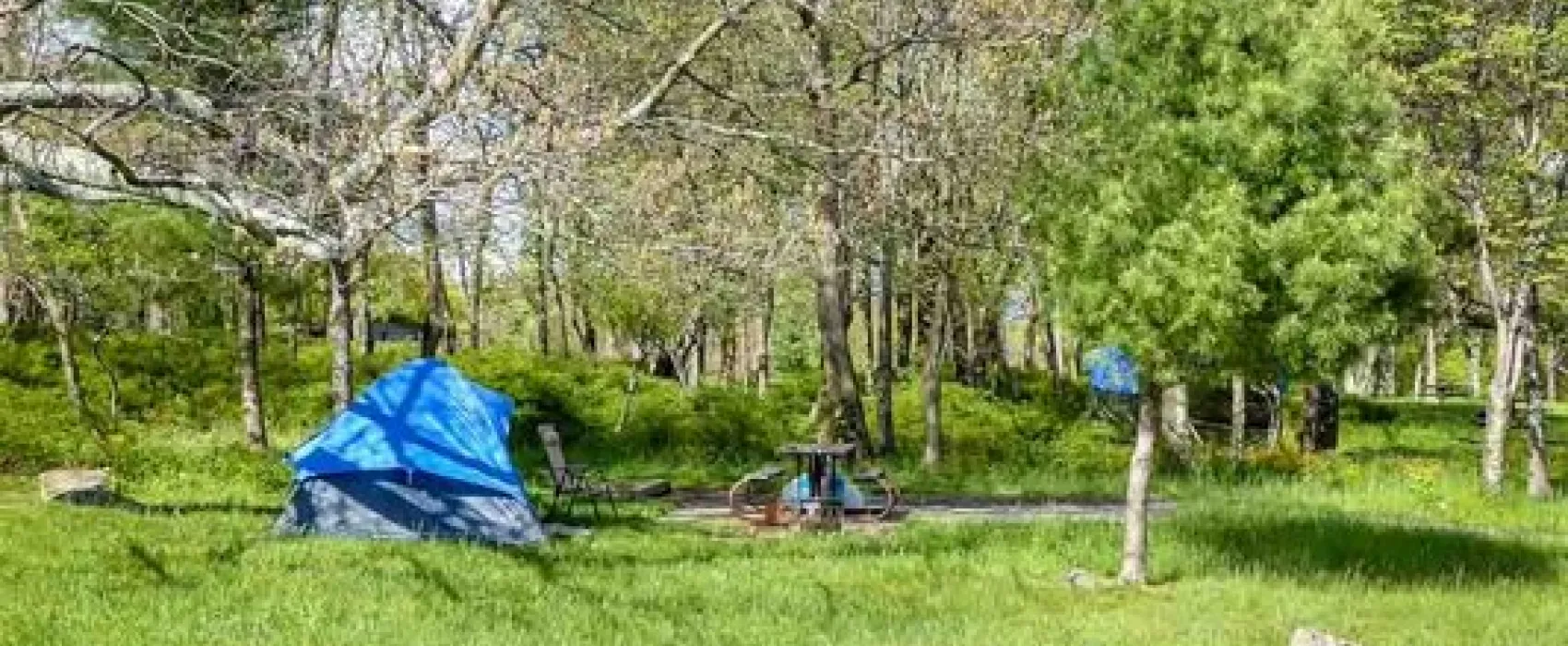 Big Meadows Campground