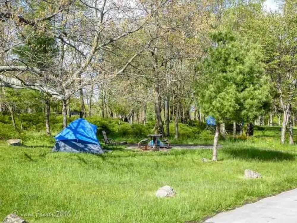 Big Meadows Campground