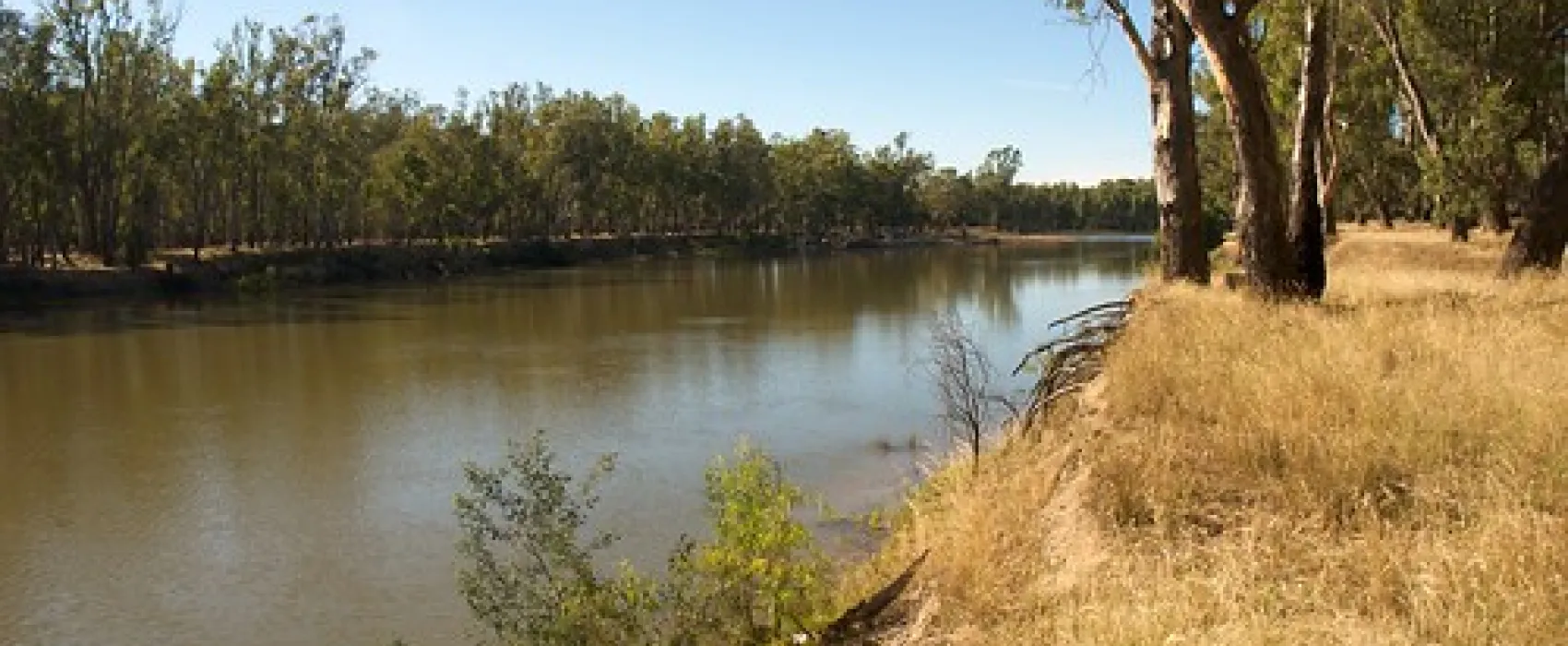 Forges Beach Campground