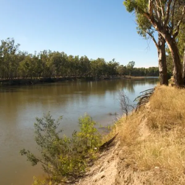 Forges Beach Campground
