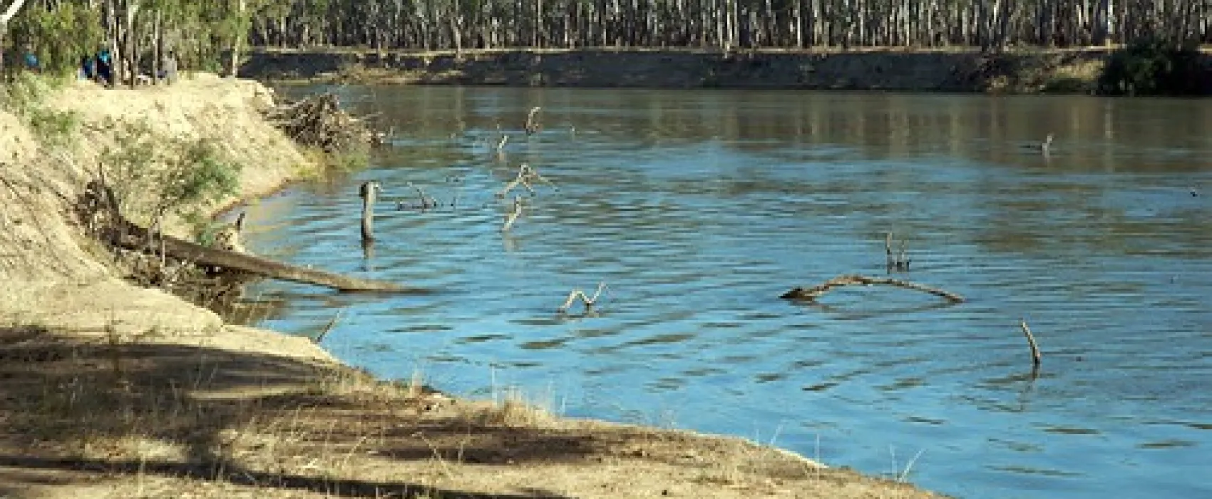 Forges Beach Campground