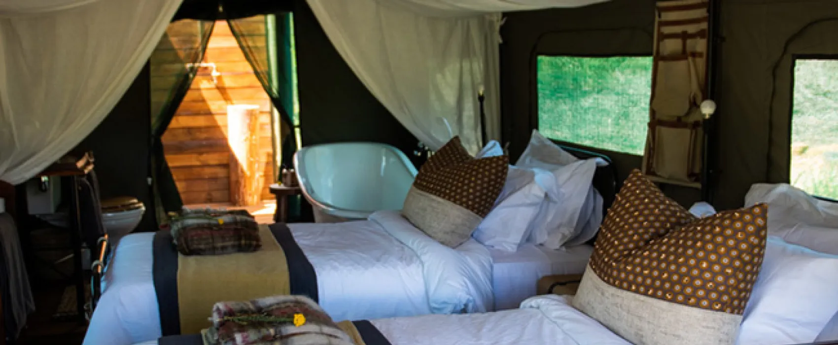 Gondwana Pioneer Trail