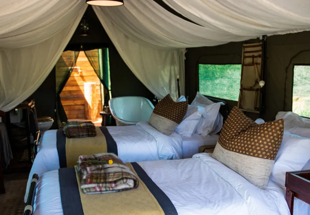 Gondwana Pioneer Trail