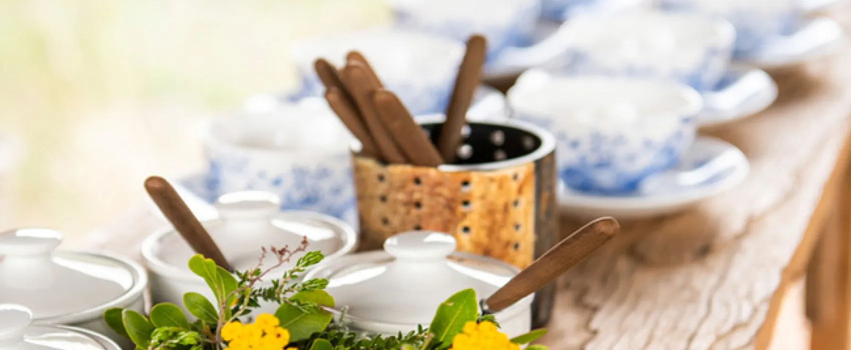 Gondwana Pioneer Trail