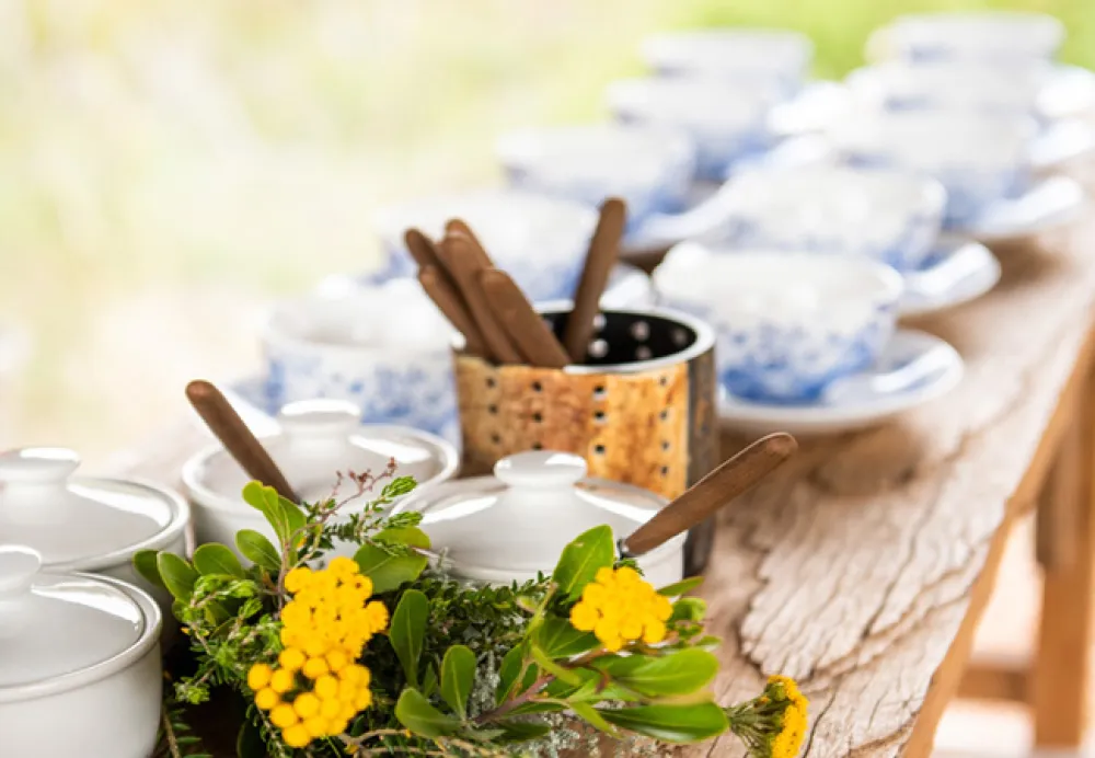 Gondwana Pioneer Trail