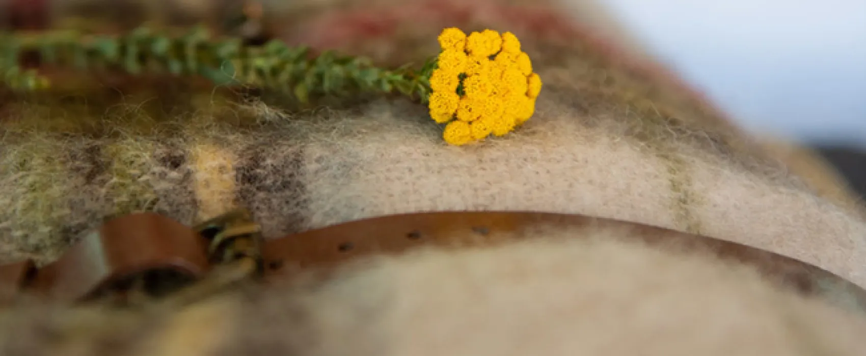 Gondwana Pioneer Trail