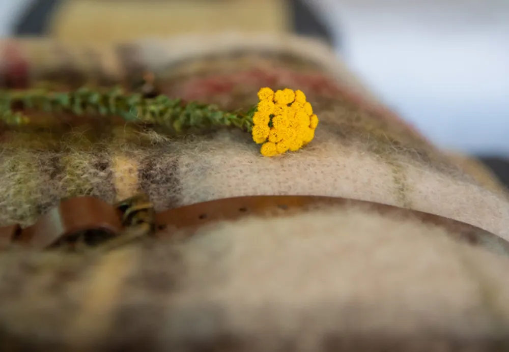 Gondwana Pioneer Trail