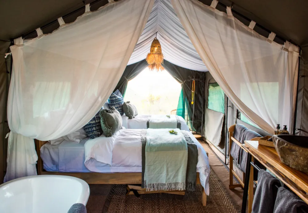 Gondwana Pioneer Trail