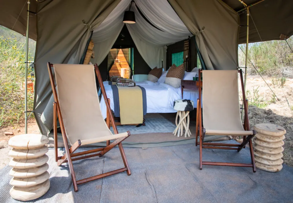 Gondwana Pioneer Trail