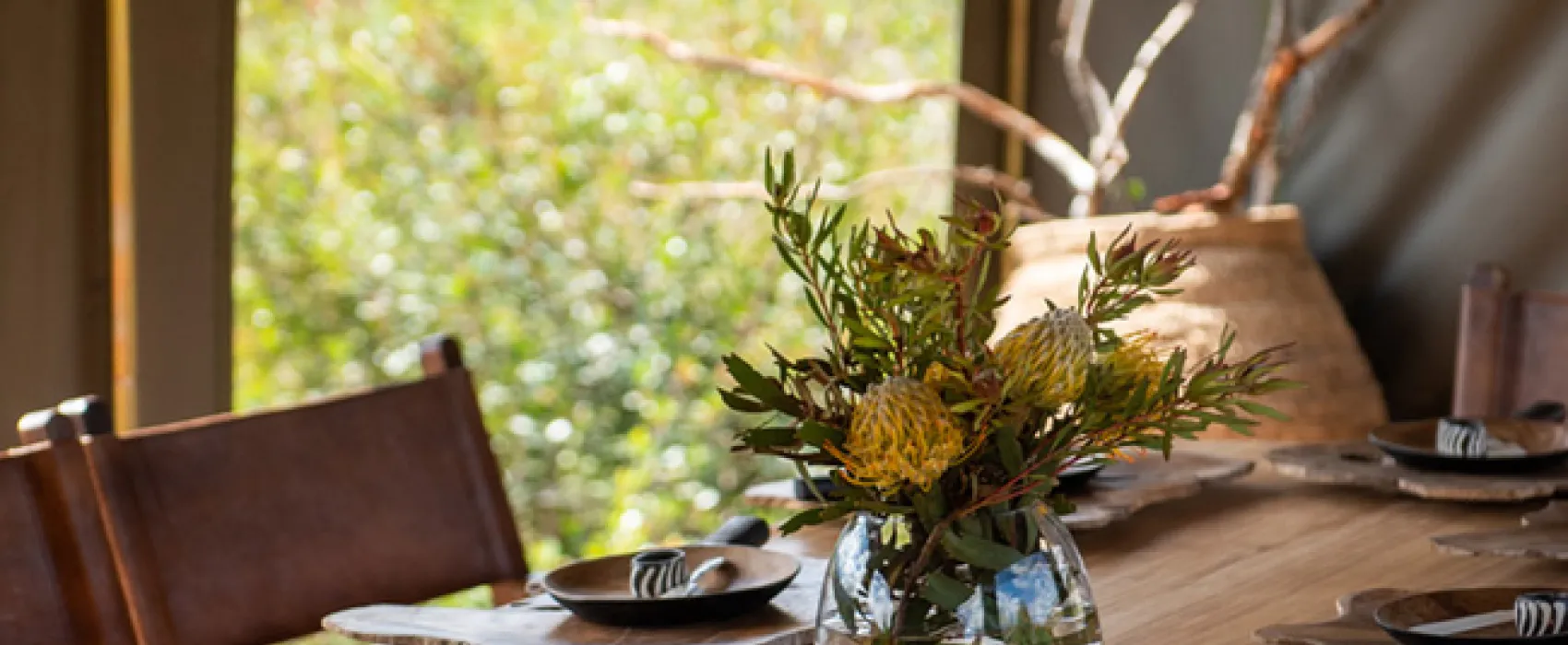 Gondwana Pioneer Trail