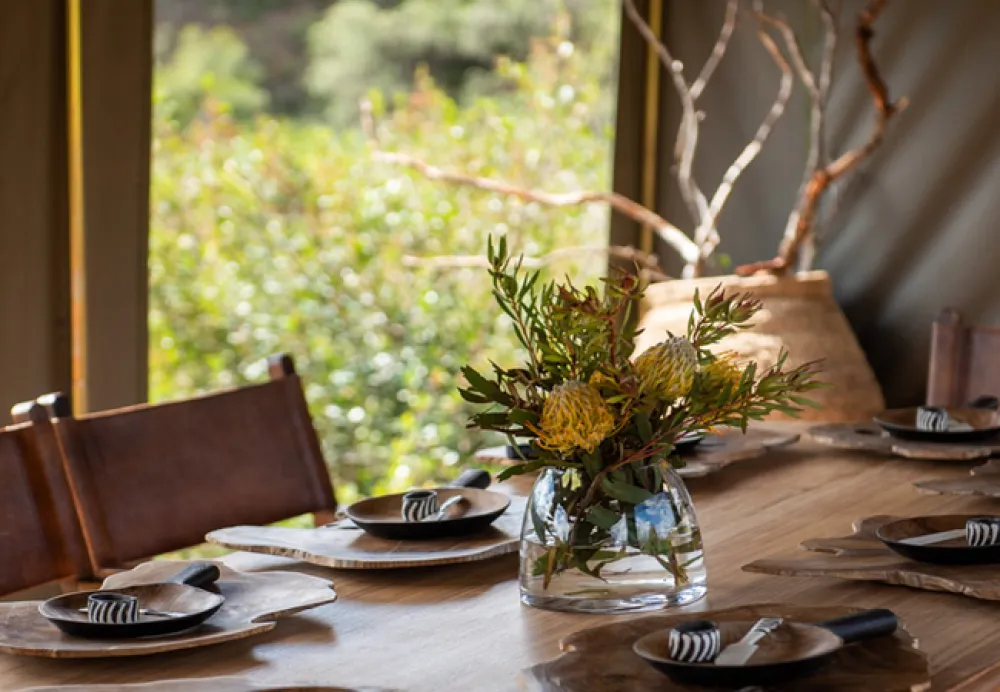 Gondwana Pioneer Trail