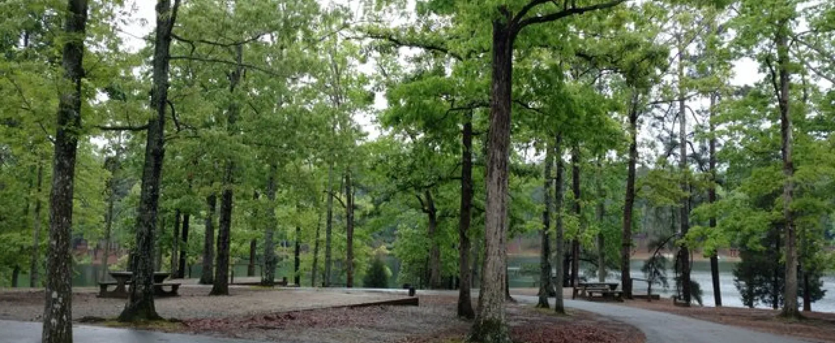 F.D. Roosevelt State Park