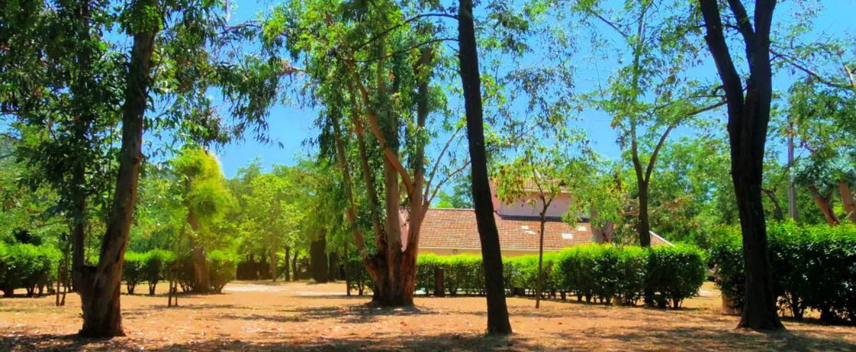 Camping aire naturelle Belle De Mai