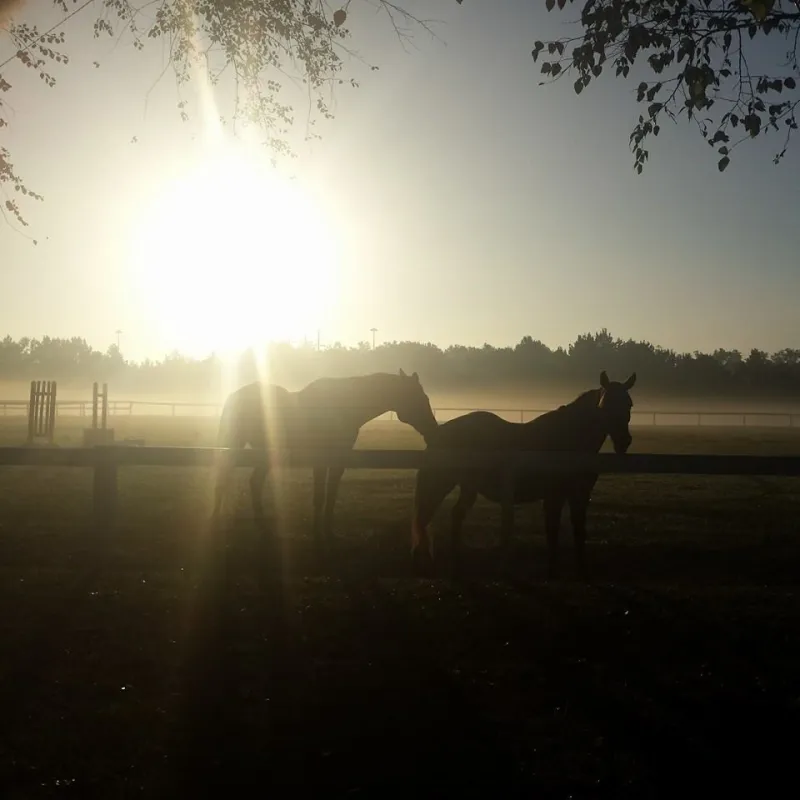 Red Gate Campground & RV Resort