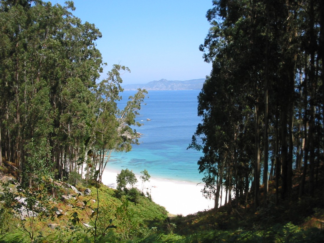 Islas Cíes photo 5