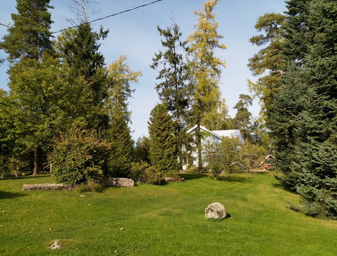 Aurantola photo 4