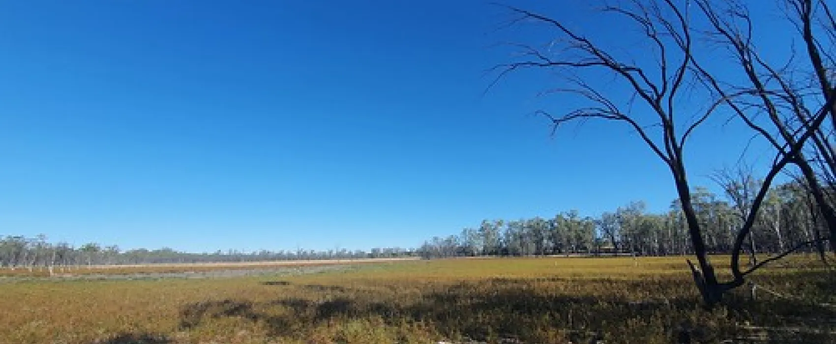 Lake Hattah Campground