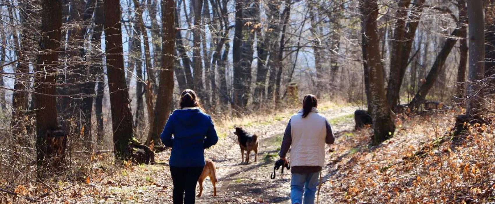 Lisi Vrah Campsite and B&B