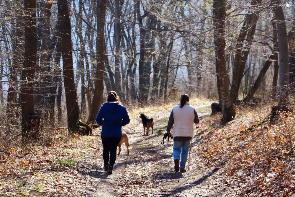 Lisi Vrah Campsite and B&B