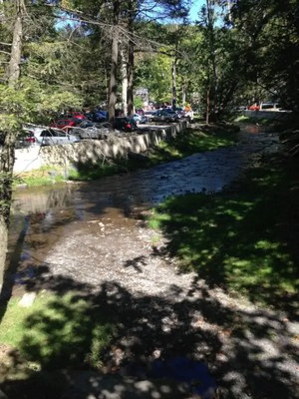 Knoebels Amusement Resort and Campground