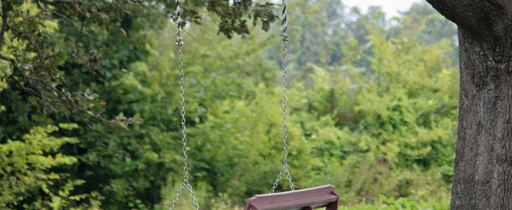 Whittington Woods Campground