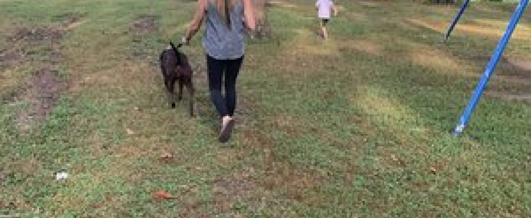 Whittington Woods Campground