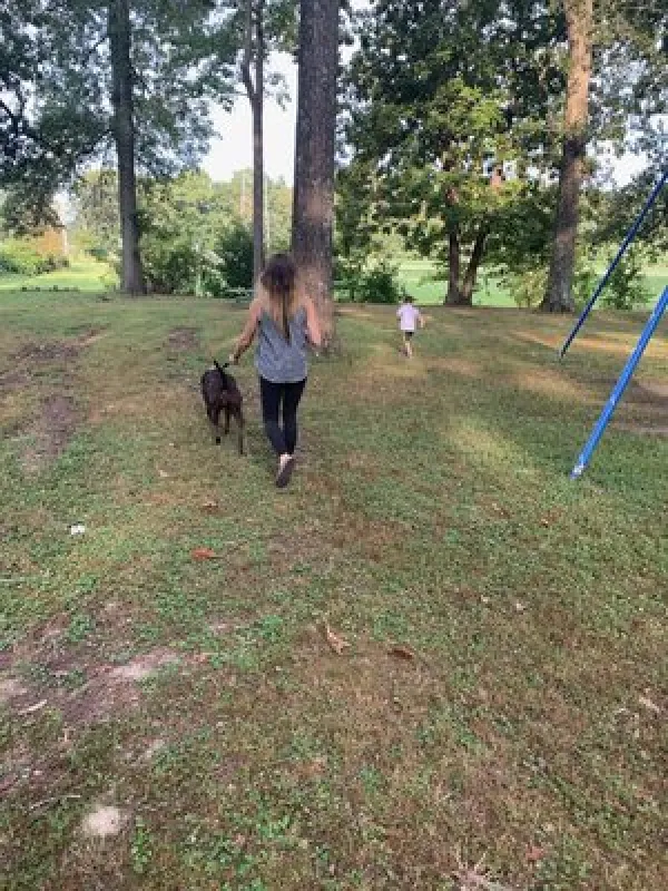 Whittington Woods Campground