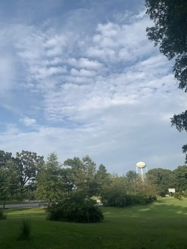 Whittington Woods Campground