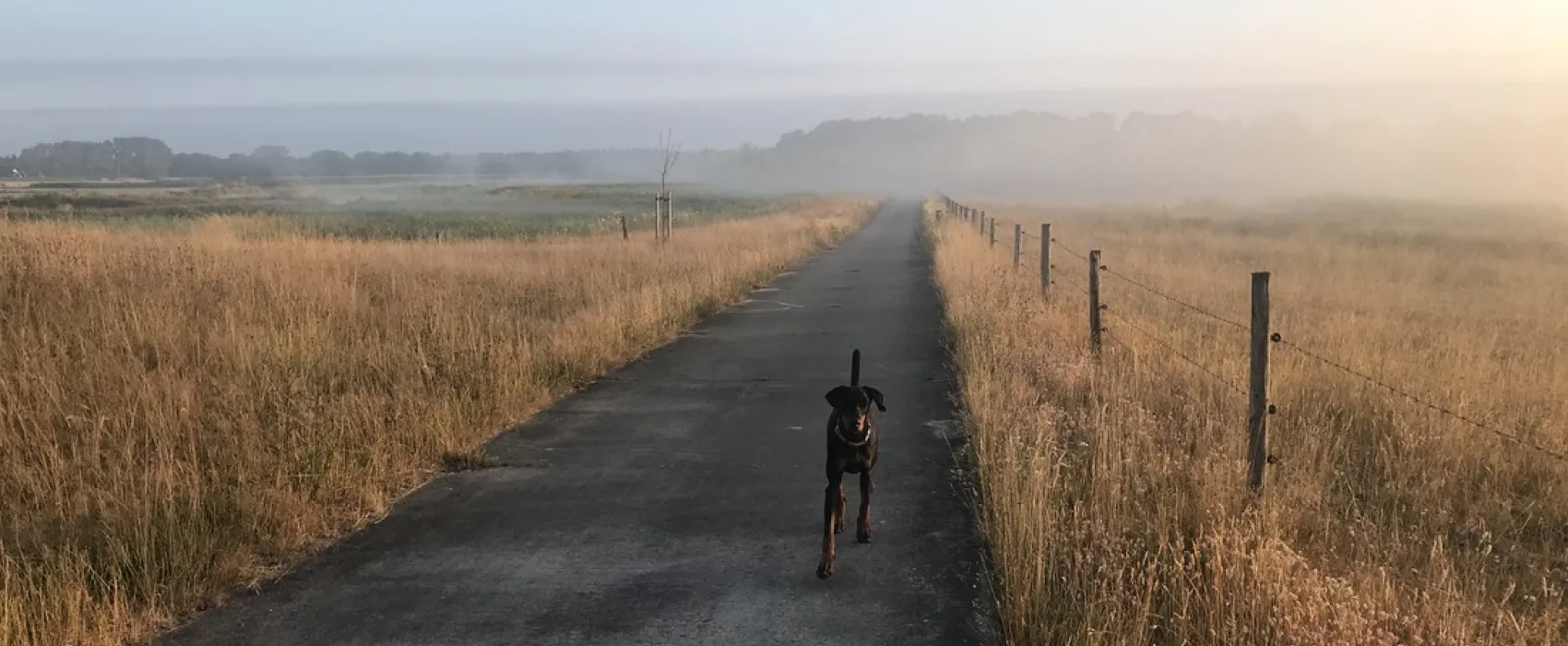 Boerencamping Het Scholtemeijer