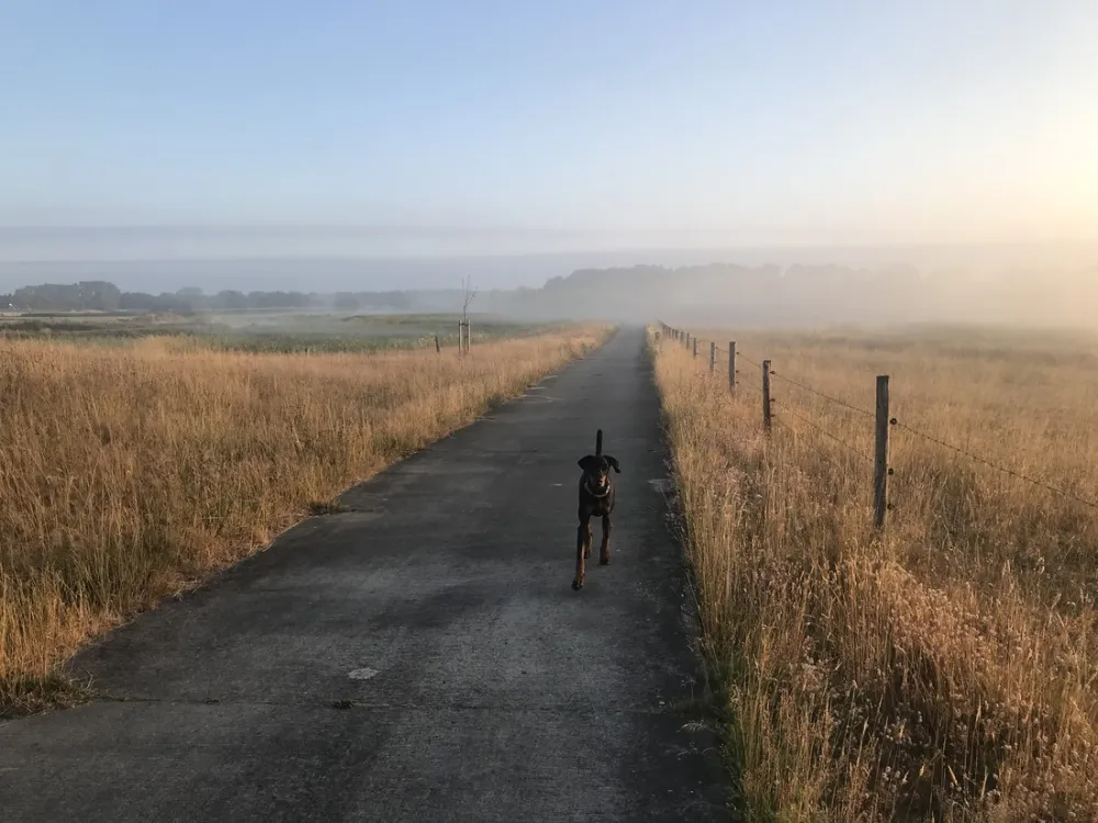Boerencamping Het Scholtemeijer