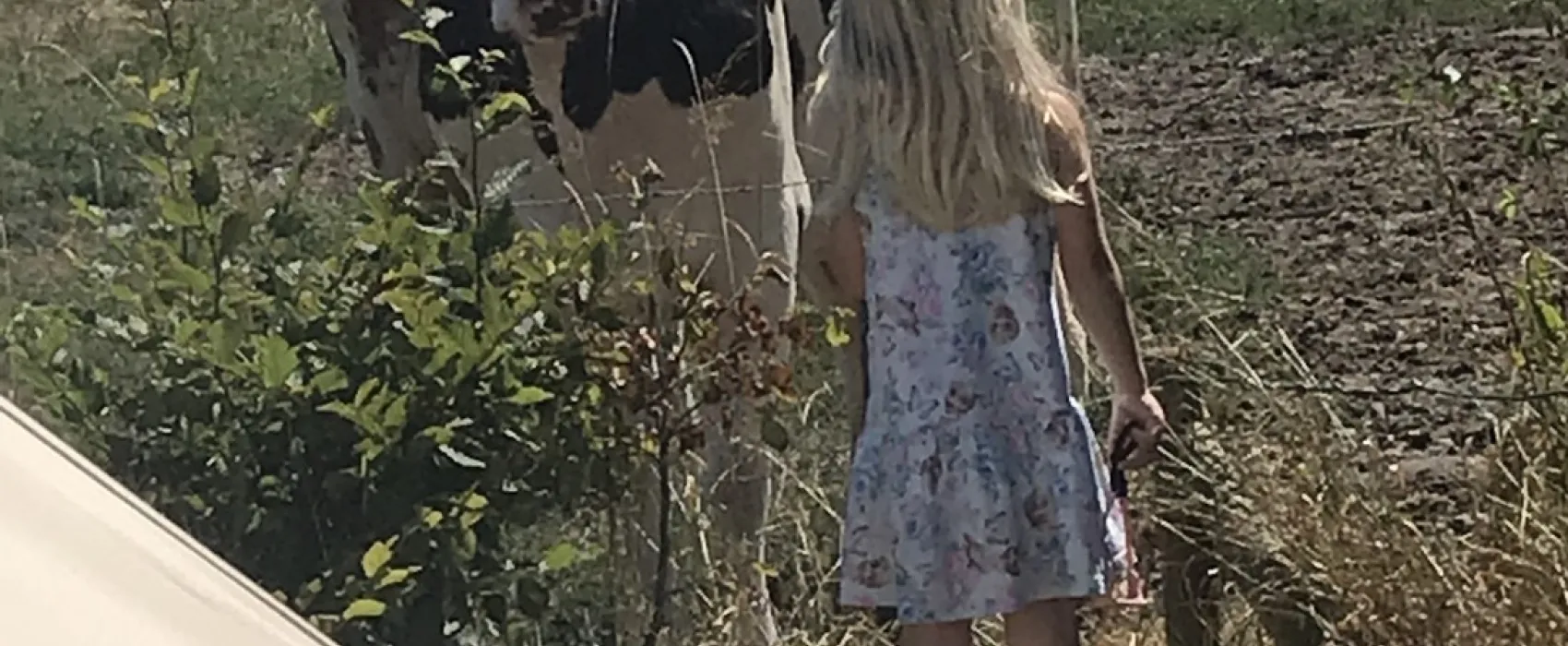 Boerencamping Het Scholtemeijer