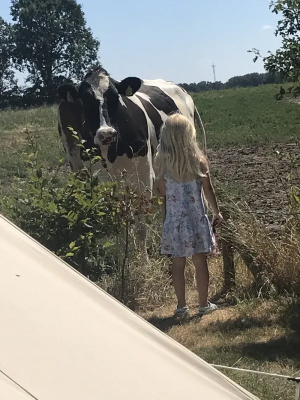 Boerencamping Het Scholtemeijer