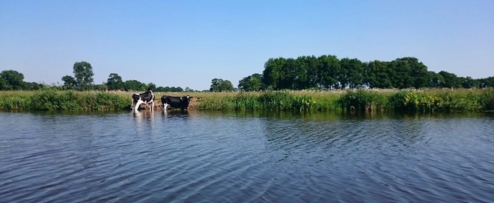 Boerencamping Het Scholtemeijer