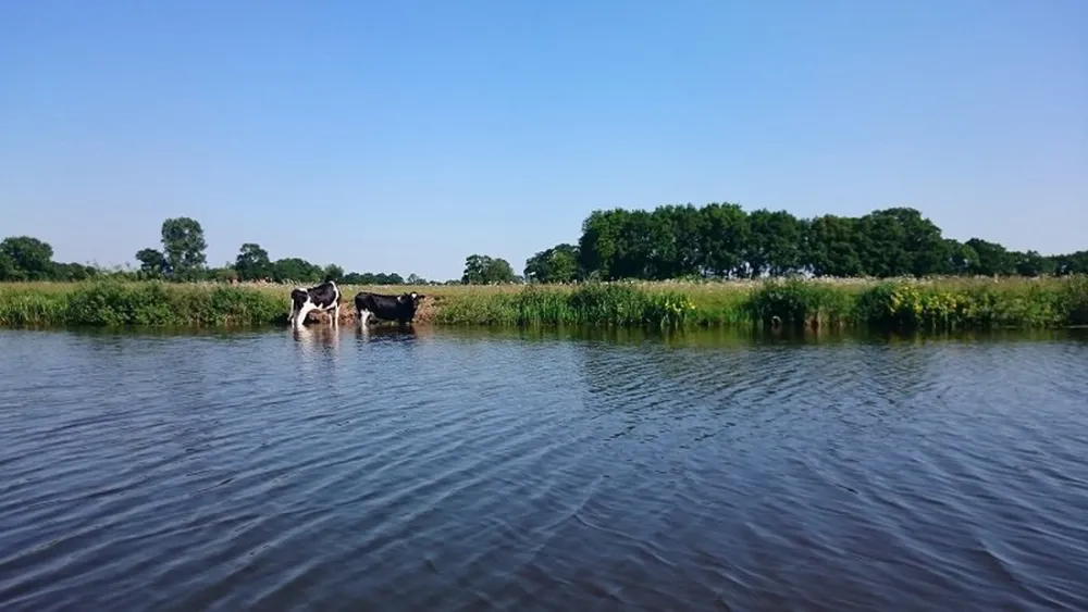 Boerencamping Het Scholtemeijer