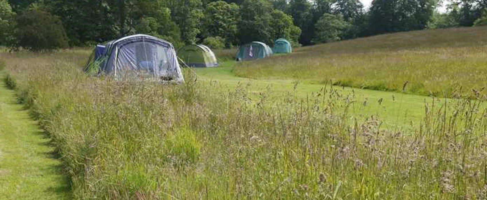 Walkmill Campsite