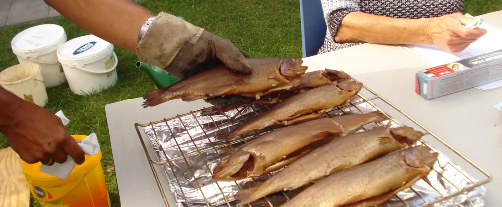 't Vossenveld (Helden-Egchel)