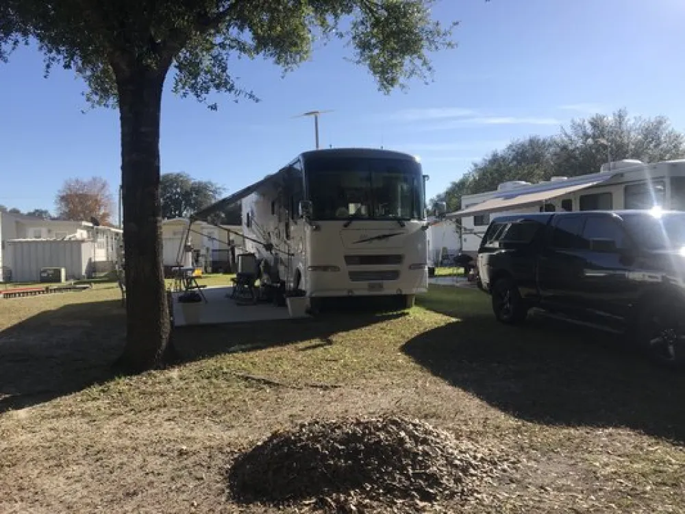 Palm View Gardens RV Resort