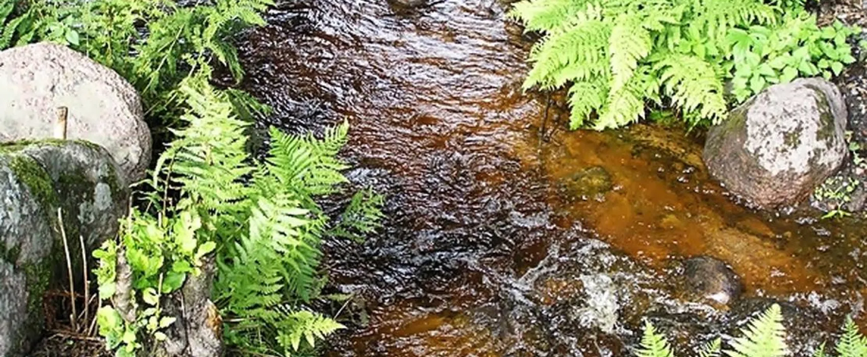 Målsånna Camping Park