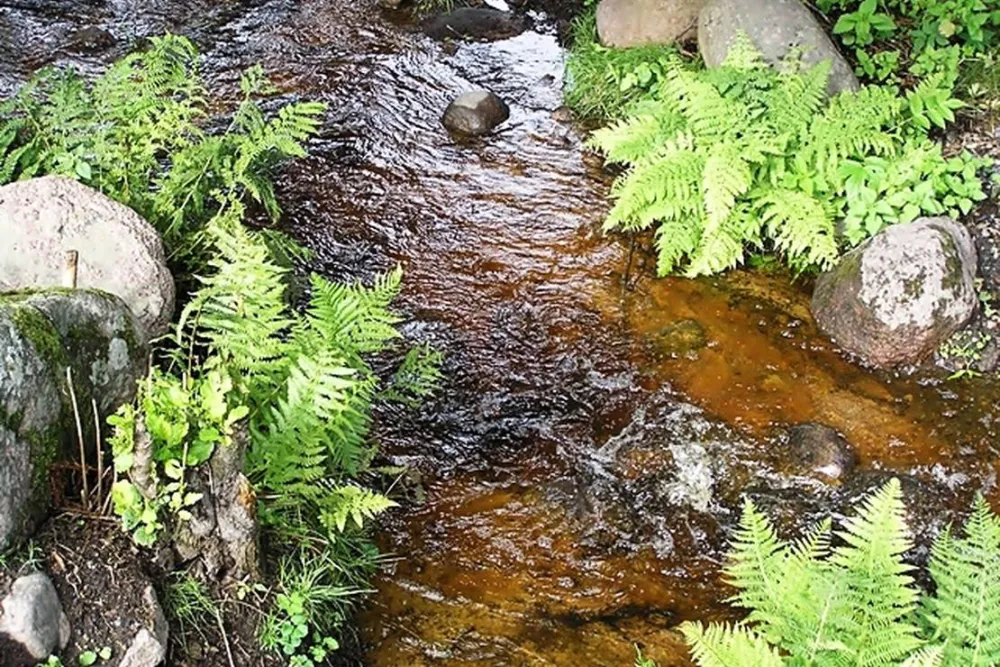 Målsånna Camping Park