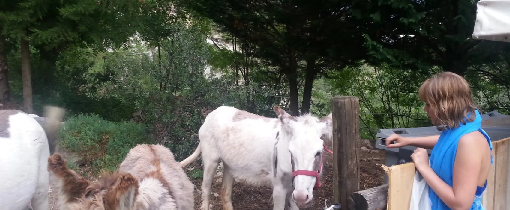 Domaine Naturiste l'Origan