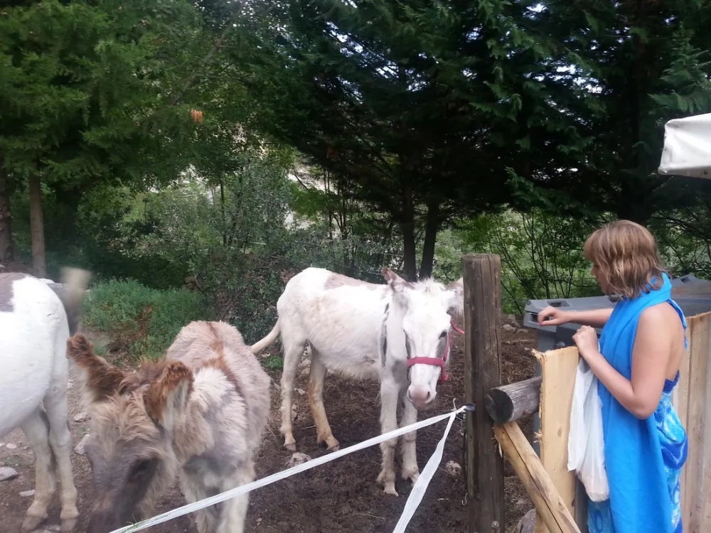 Domaine Naturiste l'Origan